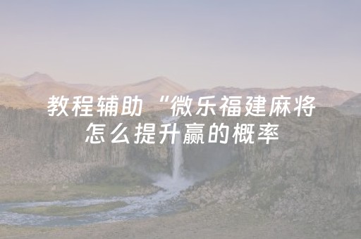 教程辅助“微乐福建麻将怎么提升赢的概率（助赢神器通用版）