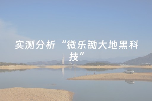 实测分析“微乐锄大地黑科技”（详细辅助教程）-哔哩哔哩