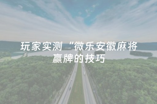 玩家实测“微乐安徽麻将赢牌的技巧（助赢神器通用版）