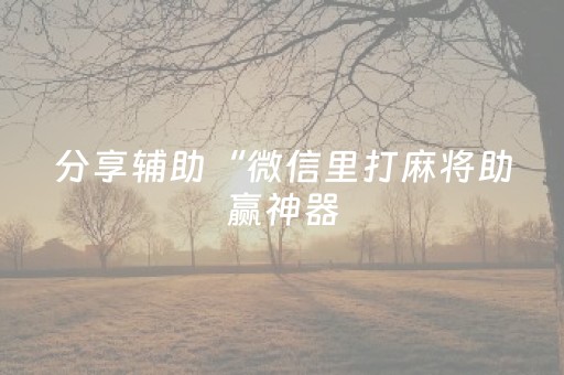 分享辅助“微信里打麻将助赢神器（专用辅牌神器免安装）