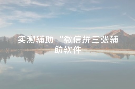 实测辅助“微信拼三张辅助软件（助赢神器通用版）