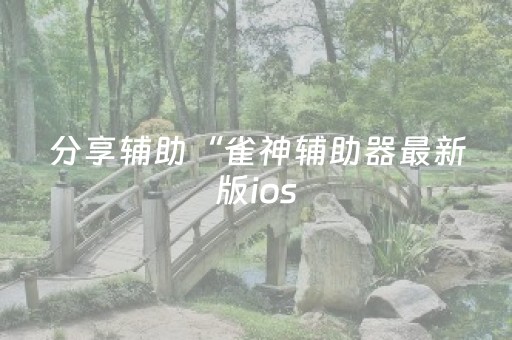分享辅助“雀神辅助器最新版ios（专用辅牌神器免安装）