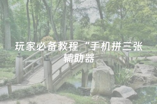 玩家必备教程“手机拼三张辅助器（专用辅牌神器免安装）