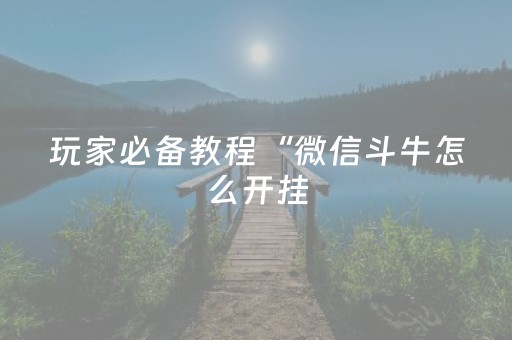 玩家必备教程“微信斗牛怎么开挂（专用辅牌神器免安装）
