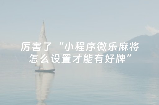 厉害了“小程序微乐麻将怎么设置才能有好牌”（辅助器插件)