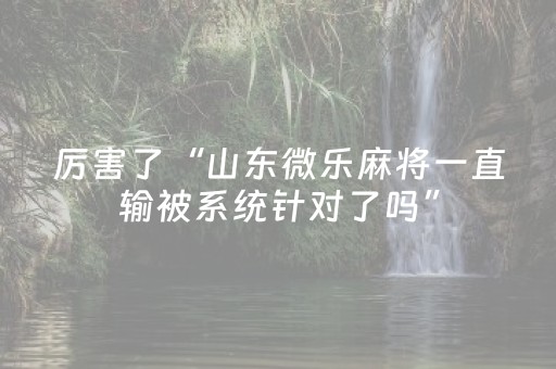 厉害了“山东微乐麻将一直输被系统针对了吗”（辅助器插件)