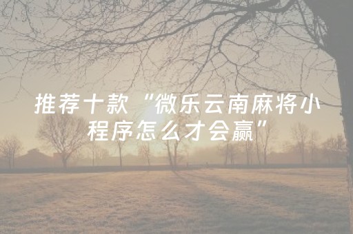 推荐十款“微乐云南麻将小程序怎么才会赢”（必赢神器辅助器)