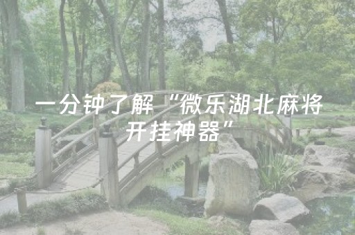 一分钟了解“微乐湖北麻将开挂神器”（开挂辅助器插件)