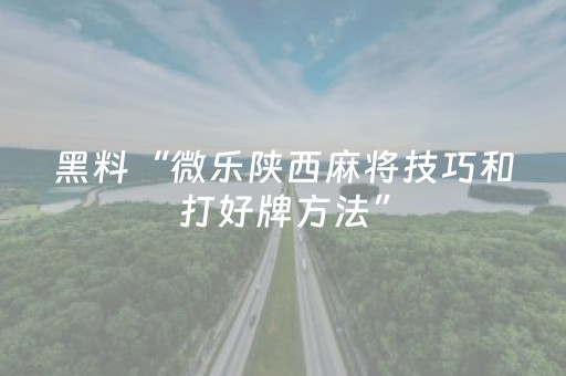 黑料“微乐陕西麻将技巧和打好牌方法”（胜率到哪调)