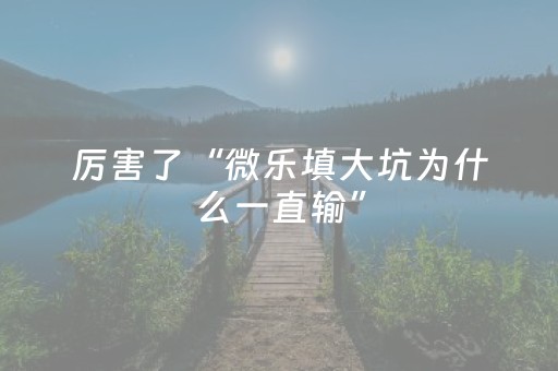 厉害了“微乐填大坑为什么一直输”（有什么诀窍)