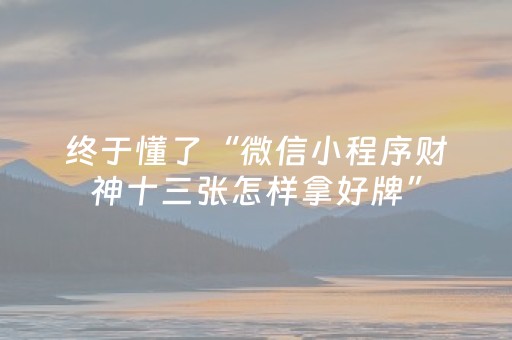 终于懂了“微信小程序财神十三张怎样拿好牌”（辅助器插件)
