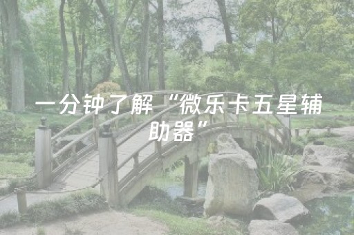 教程辅助“陕麻圈延安锅子带挂神器（专用辅牌神器免安装）
