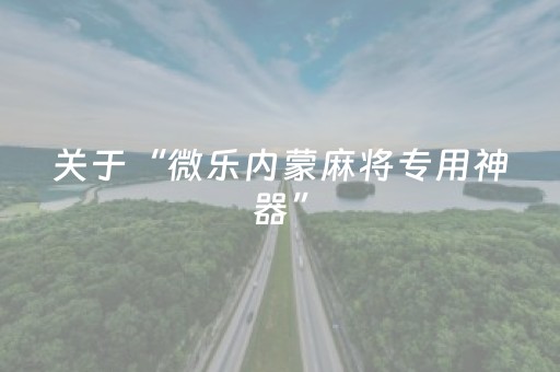教程辅助“普通免安装麻将机解码器（专用辅牌神器免安装）