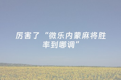 厉害了“微乐内蒙麻将胜率到哪调”（控牌神器)