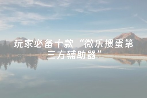 玩家必备十款“微乐掼蛋第三方辅助器”（赢的技巧规律)