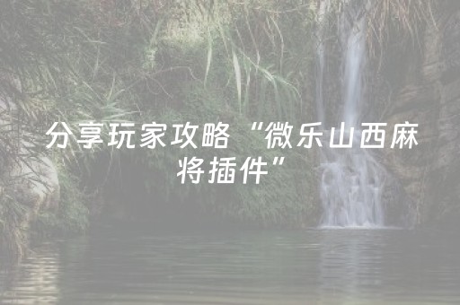 分享玩家攻略“微乐山西麻将插件”（怎么设置才能赢)
