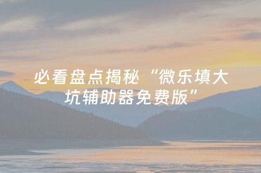 必看盘点揭秘“微乐填大坑辅助器免费版”（免费辅助)