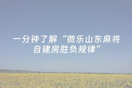 一分钟了解“微乐山东麻将自建房胜负规律”（开挂辅助器插件)
