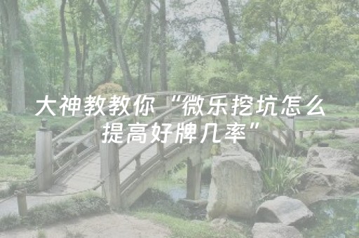 大神教教你“微乐挖坑怎么提高好牌几率”（神器最新免费)