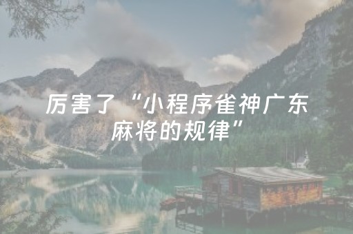 厉害了“小程序雀神广东麻将的规律”（万能开挂神器)