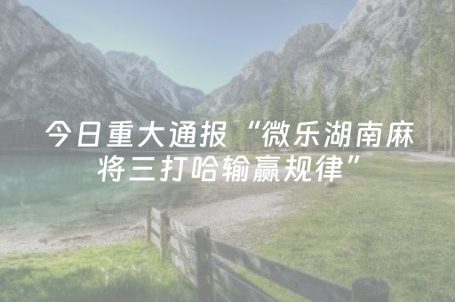 今日重大通报“微乐湖南麻将三打哈输赢规律”（骗局大揭秘)