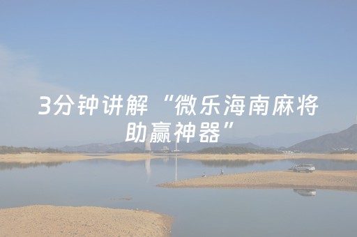 3分钟讲解“微乐海南麻将助赢神器”（挂件神器)
