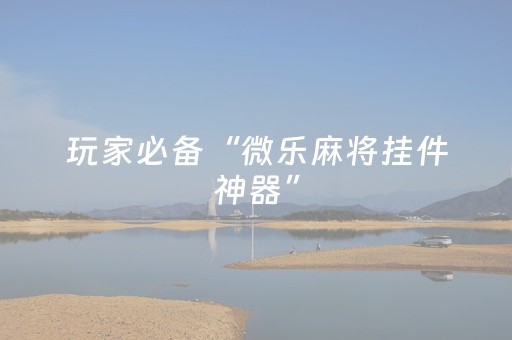 玩家必备“微乐麻将挂件神器”（技巧和打好牌方法)