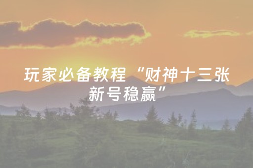 玩家必备教程“财神十三张新号稳赢”（挂件神器)