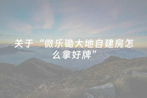 关于“微乐锄大地自建房怎么拿好牌”（攻略插件)