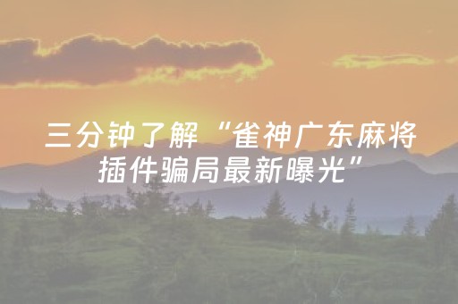三分钟了解“雀神广东麻将插件骗局最新曝光”（攻略插件)