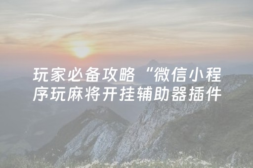 玩家必备攻略“微信小程序玩麻将开挂辅助器插件”（输赢跟id号有关系吗)