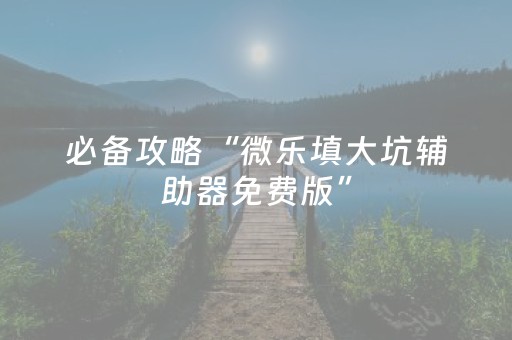 必备攻略“微乐填大坑辅助器免费版”（软挂神器)
