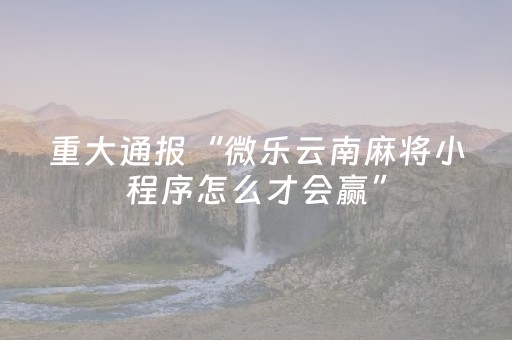 分享辅助“最新麻将黑科技设备（专用辅牌神器免安装）
