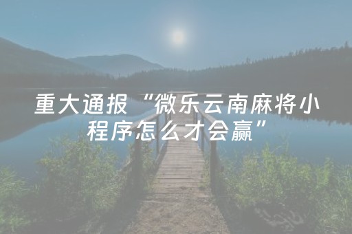 胜率设置方法“手机广东麻将专用器（助赢神器通用版）