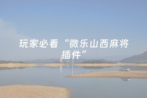玩家必看“微乐山西麻将插件”（免费辅助)