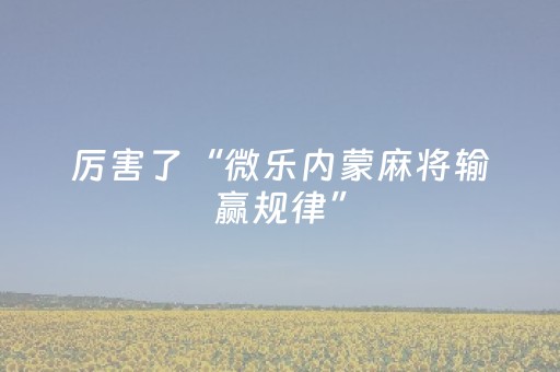 厉害了“微乐内蒙麻将输赢规律”（透明器教程)