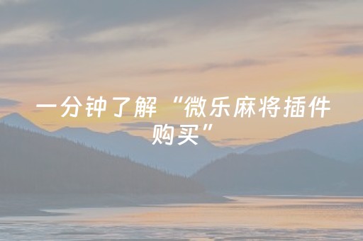 一分钟了解“微乐麻将插件购买”（挂件神器)
