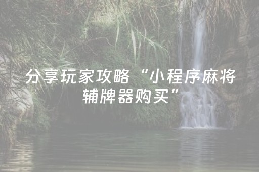 分享玩家攻略“小程序麻将辅牌器购买”（软挂神器)