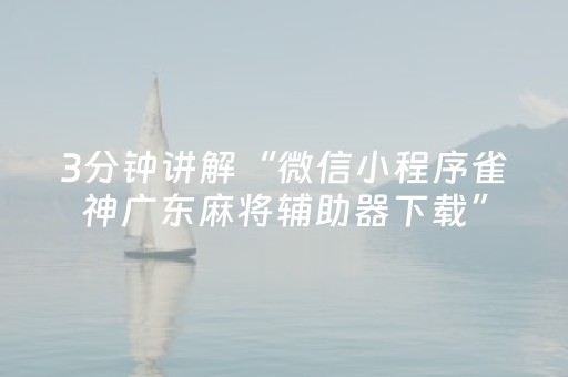 3分钟讲解“微信小程序雀神广东麻将辅助器下载”（必赢神器)