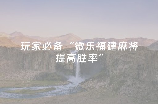 玩家必备“微乐福建麻将提高胜率”（辅助器插件)