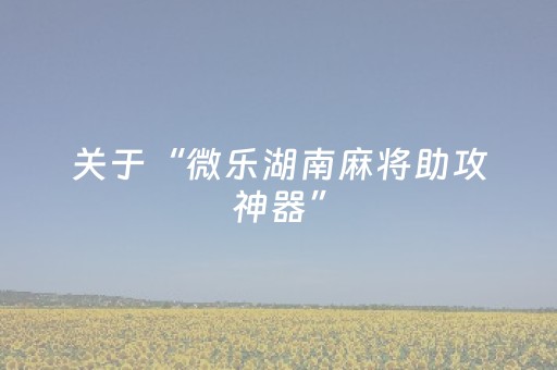 分享辅助“微乐云南麻将挂件神器（助赢神器通用版）