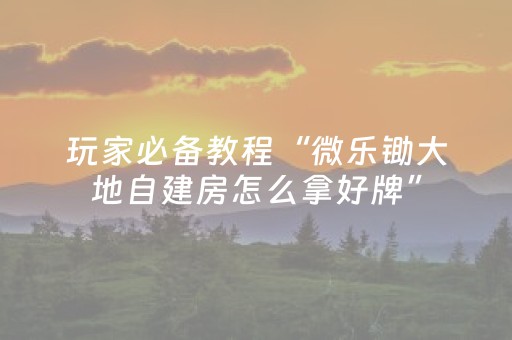 实测辅助“麻将机真有无需安装解码器吗”（详细透视教程）-哔哩哔哩