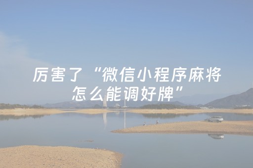 实测分析“微乐麻将必备神器”（详细透视教程）-哔哩哔哩