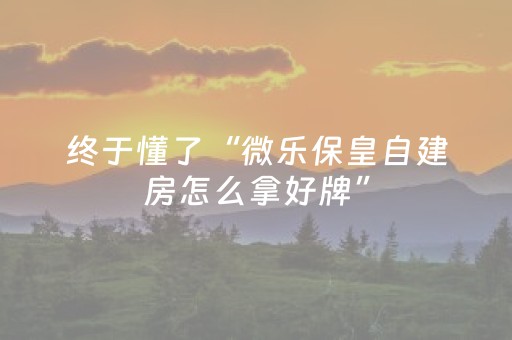玩家实测“中至辅助器免费版3.0（助赢神器通用版）