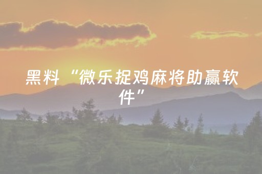 必看教程！“哈灵杭州麻将胡牌神器”（详细开挂教程）-哔哩哔哩