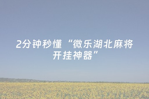 终于发现了“手机扑克辅助工具”（详细透视教程）-哔哩哔哩