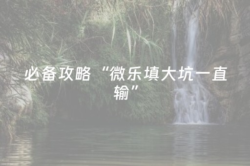 必备攻略“微乐填大坑一直输”（助赢神器购买)