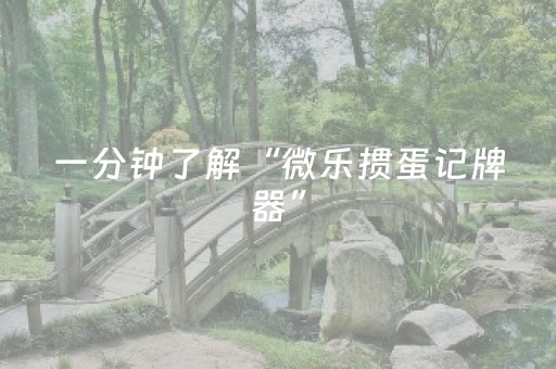 一分钟了解“微乐掼蛋记牌器”（必赢神器)
