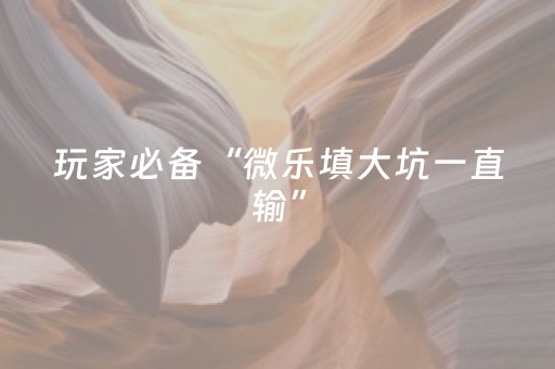 玩家必备“微乐填大坑一直输”（软挂神器)