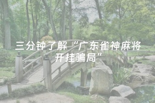 三分钟了解“广东雀神麻将开挂骗局”（装挂怎么安装)